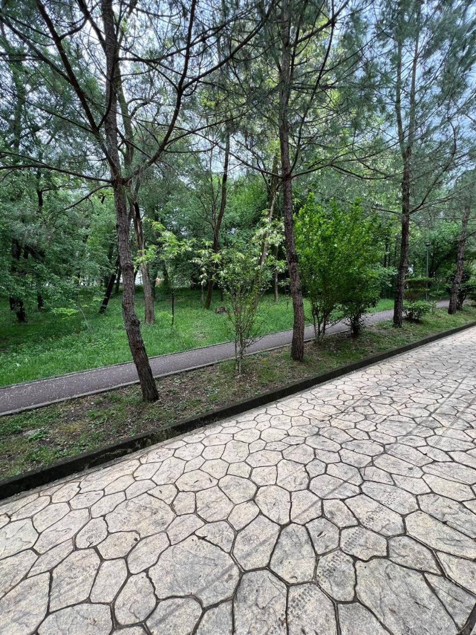 Cozy Flat Near Air Albania Stadium 1 Tirana Exterior photo